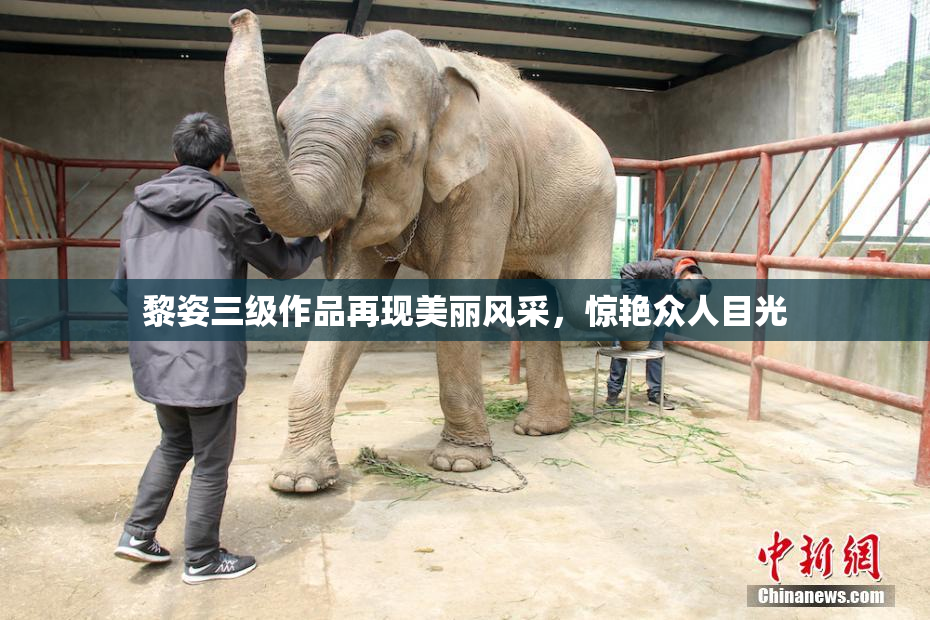 黎姿三级作品再现美丽风采，惊艳众人目光