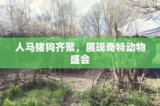 人马猪狗齐聚，展现奇特动物盛会