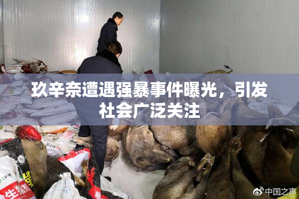 玖辛奈遭遇强暴事件曝光，引发社会广泛关注