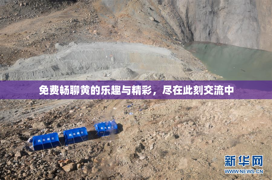 免费畅聊黄的乐趣与精彩，尽在此刻交流中