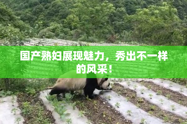 国产熟妇展现魅力，秀出不一样的风采！