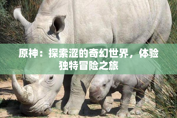 原神：探索涩的奇幻世界，体验独特冒险之旅