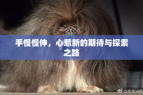手慢慢伸，心惹新的期待与探索之路