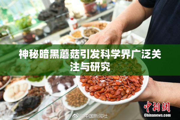 神秘暗黑蘑菇引发科学界广泛关注与研究