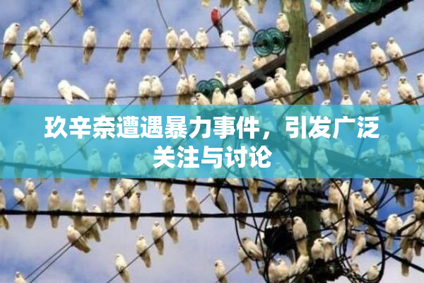 玖辛奈遭遇暴力事件，引发广泛关注与讨论