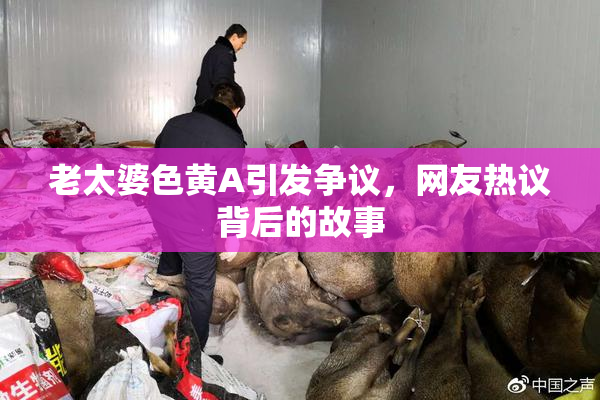 老太婆色黄A引发争议，网友热议背后的故事
