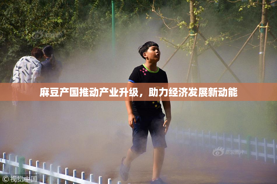 麻豆产国推动产业升级，助力经济发展新动能