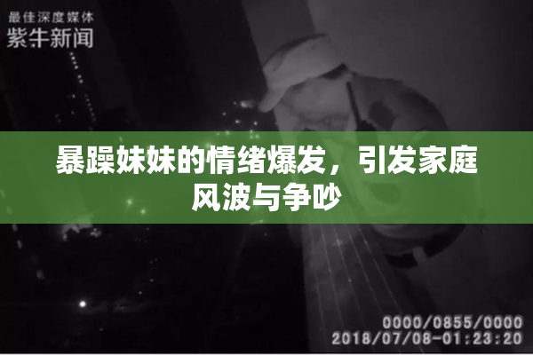 暴躁妹妹的情绪爆发，引发家庭风波与争吵