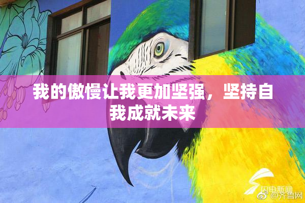我的傲慢让我更加坚强，坚持自我成就未来