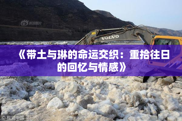 《带土与琳的命运交织：重拾往日的回忆与情感》