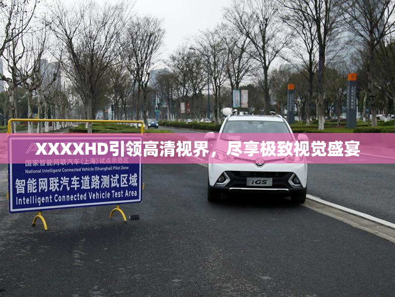 XXXXHD引领高清视界，尽享极致视觉盛宴
