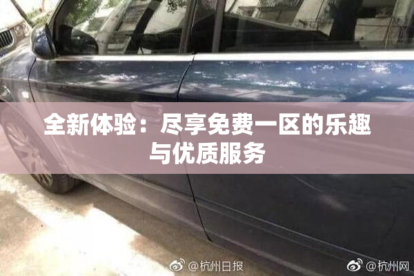 全新体验：尽享免费一区的乐趣与优质服务
