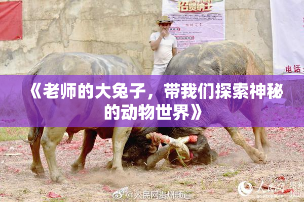 《老师的大兔子，带我们探索神秘的动物世界》