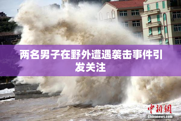 两名男子在野外遭遇袭击事件引发关注