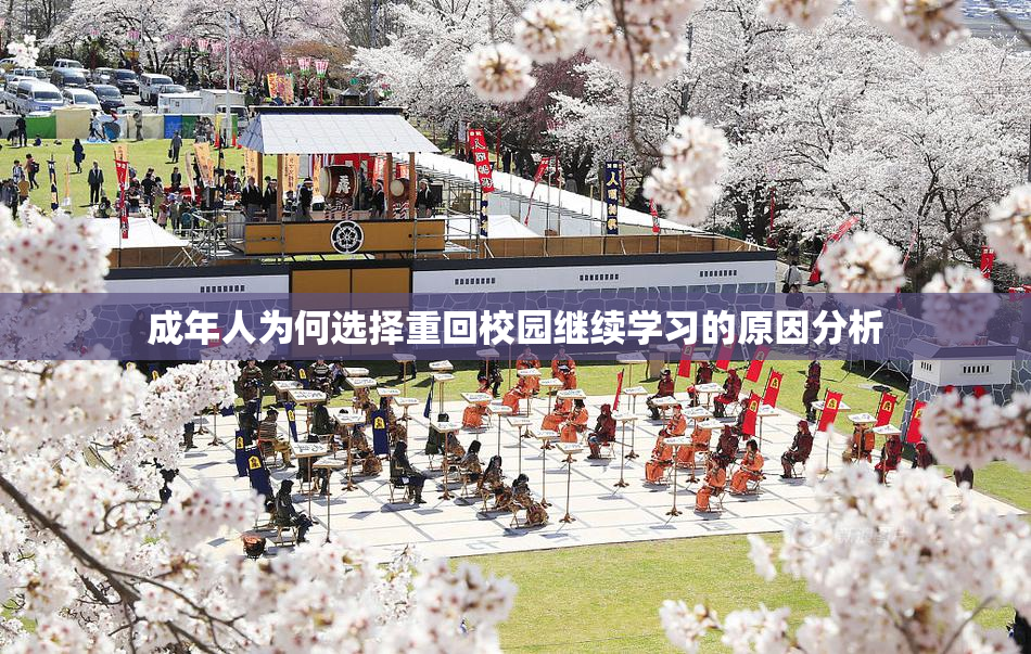 成年人为何选择重回校园继续学习的原因分析