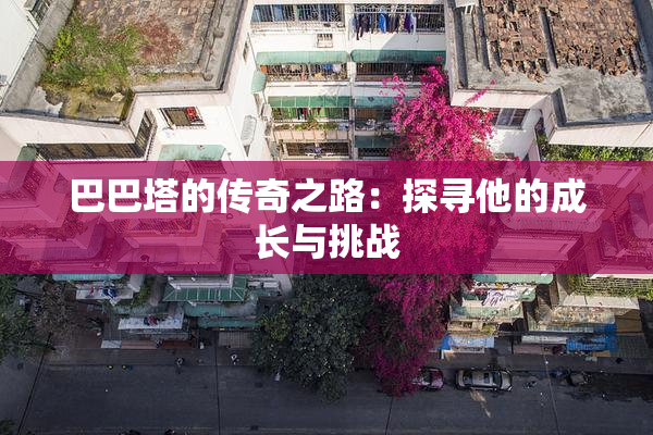 巴巴塔的传奇之路：探寻他的成长与挑战