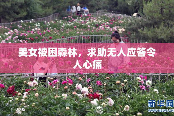 美女被困森林，求助无人应答令人心痛
