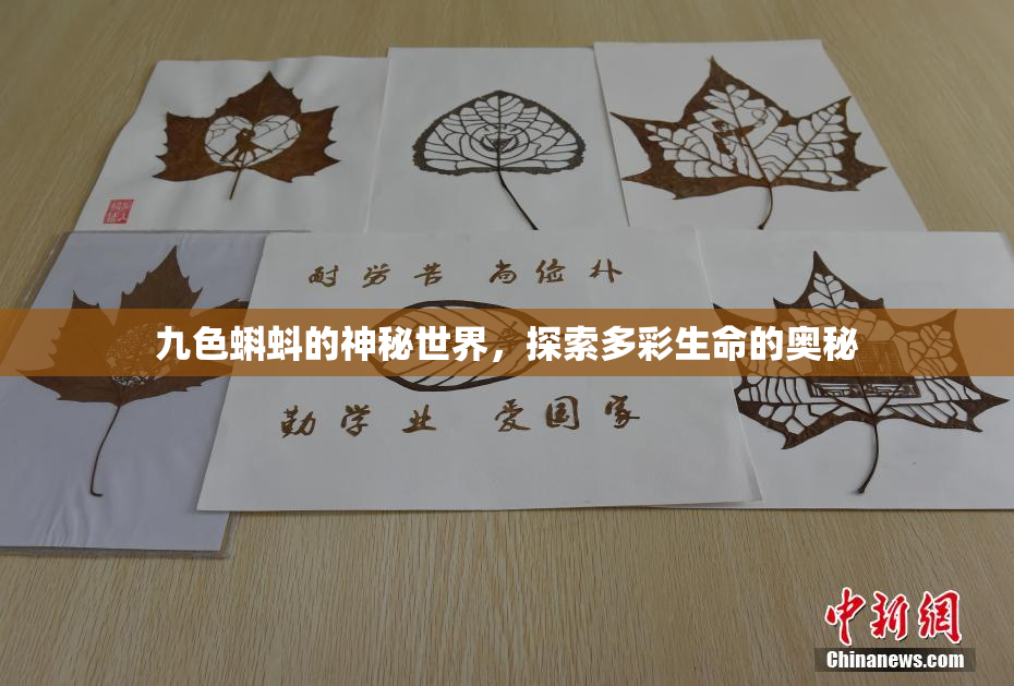 九色蝌蚪的神秘世界，探索多彩生命的奥秘
