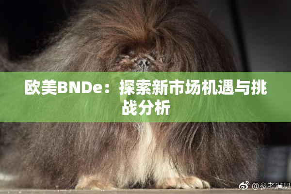 欧美BNDe：探索新市场机遇与挑战分析