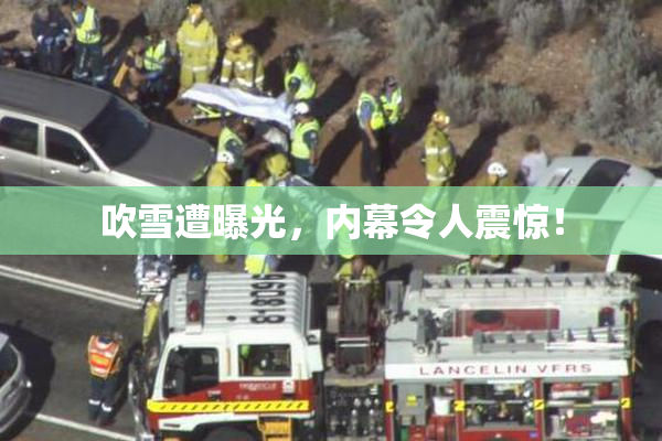 吹雪遭曝光，内幕令人震惊！