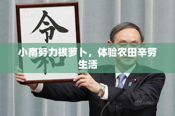 小南努力拔萝卜，体验农田辛劳生活