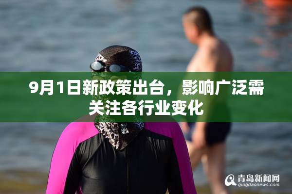 9月1日新政策出台，影响广泛需关注各行业变化