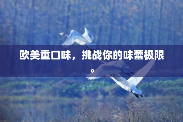 欧美重口味，挑战你的味蕾极限。
