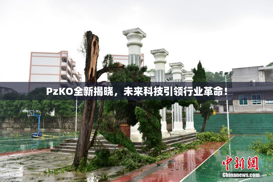 PzKO全新揭晓，未来科技引领行业革命！