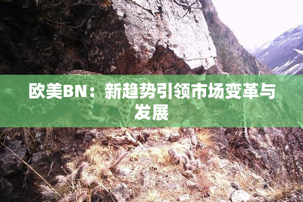欧美BN：新趋势引领市场变革与发展