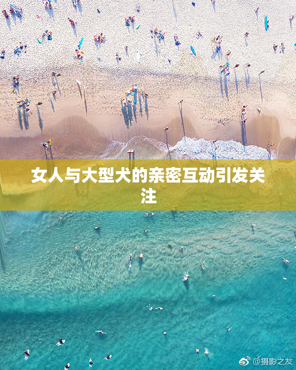 女人与大型犬的亲密互动引发关注