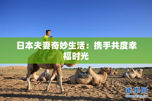 日本夫妻奇妙生活：携手共度幸福时光