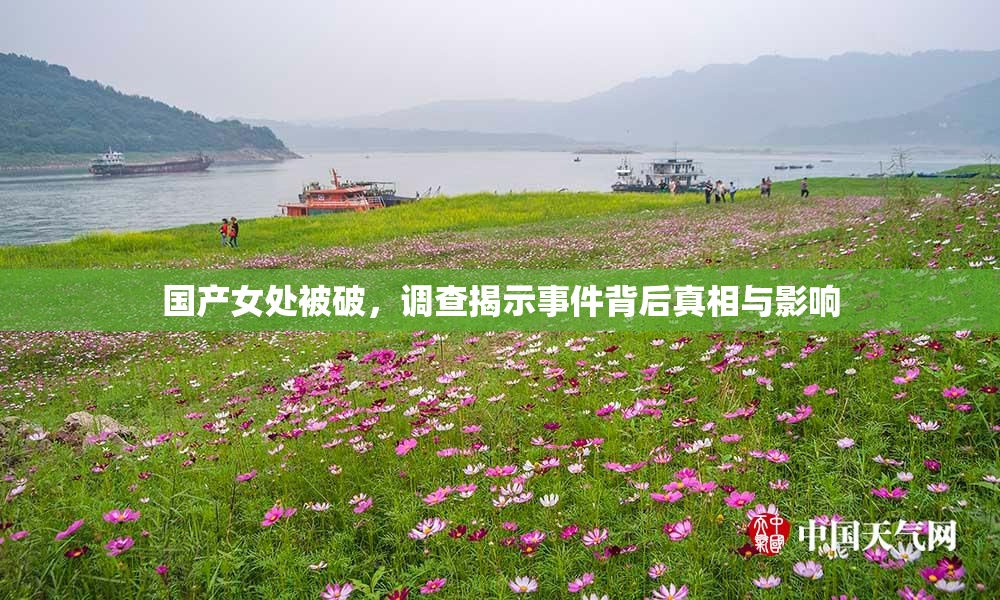国产女处被破，调查揭示事件背后真相与影响