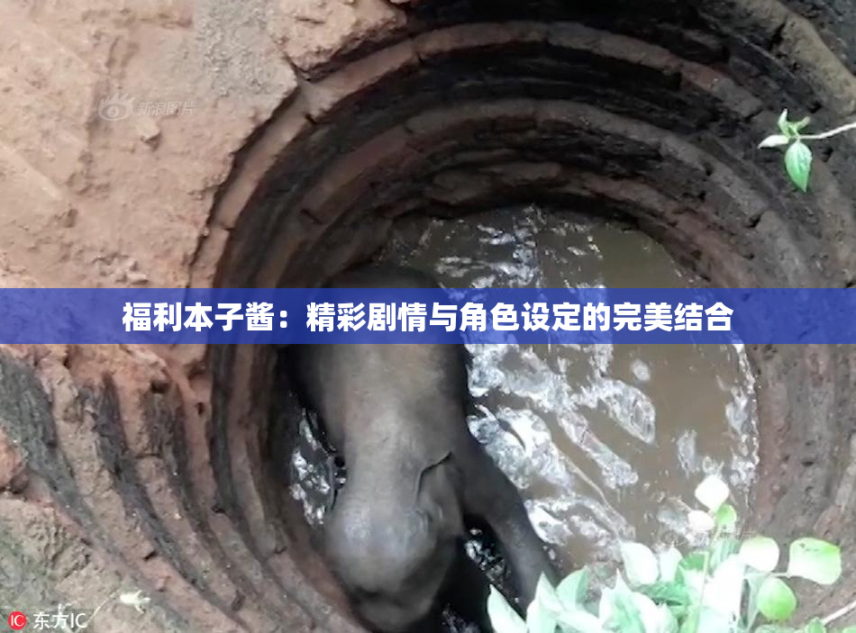 福利本子酱：精彩剧情与角色设定的完美结合