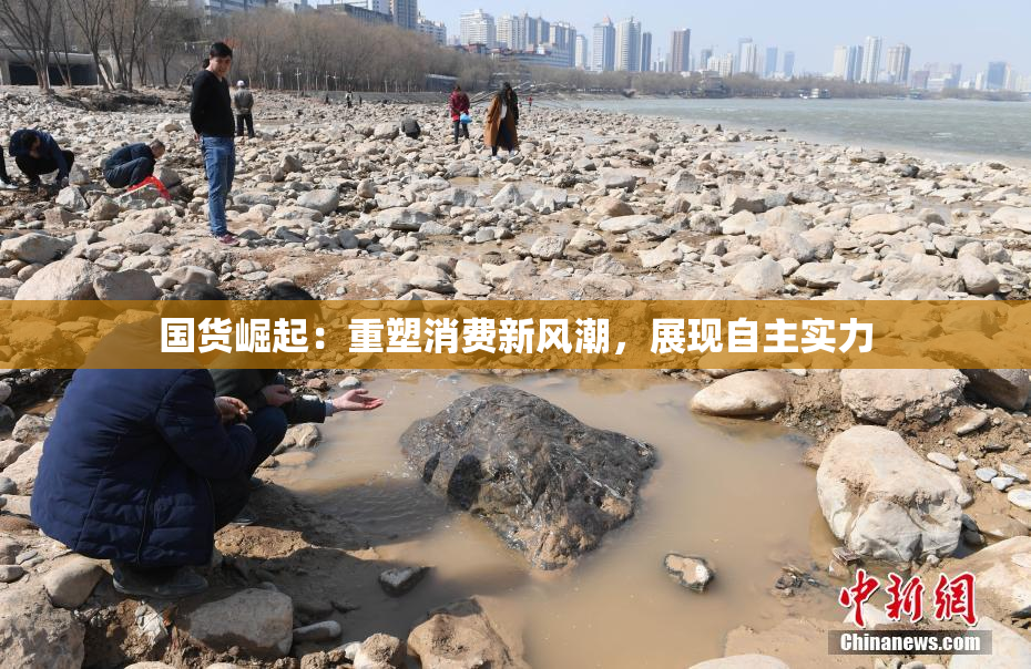 国货崛起：重塑消费新风潮，展现自主实力