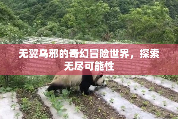 无翼乌邪的奇幻冒险世界，探索无尽可能性