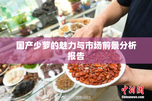国产少萝的魅力与市场前景分析报告