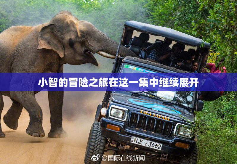小智的冒险之旅在这一集中继续展开