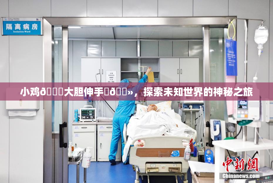 小鸡🐔大胆伸手‌🐻，探索未知世界的神秘之旅