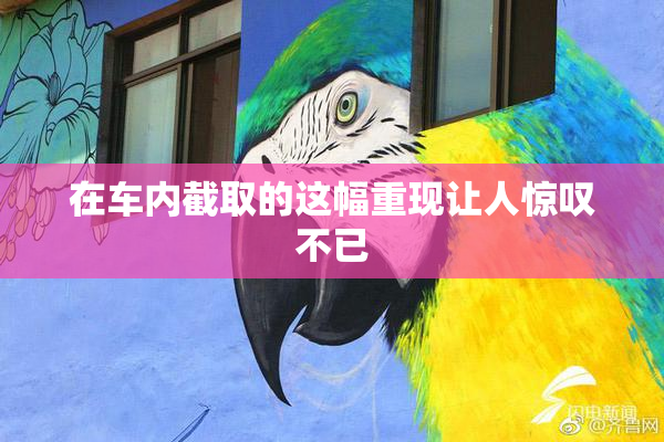 在车内截取的这幅重现让人惊叹不已