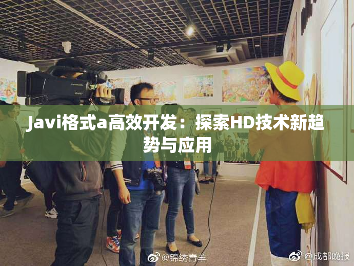 Javi格式a高效开发：探索HD技术新趋势与应用