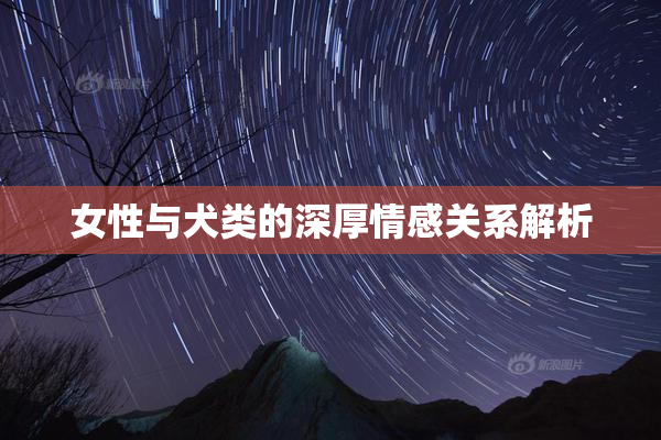 女性与犬类的深厚情感关系解析