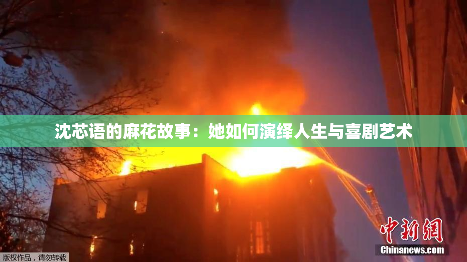 沈芯语的麻花故事：她如何演绎人生与喜剧艺术