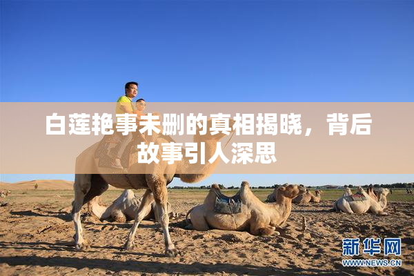 白莲艳事未删的真相揭晓，背后故事引人深思