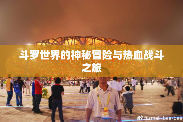 斗罗世界的神秘冒险与热血战斗之旅