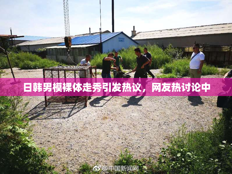 日韩男模裸体走秀引发热议，网友热讨论中