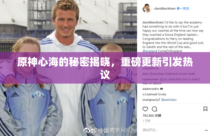 原神心海的秘密揭晓，重磅更新引发热议