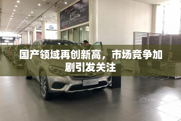 国产领域再创新高，市场竞争加剧引发关注