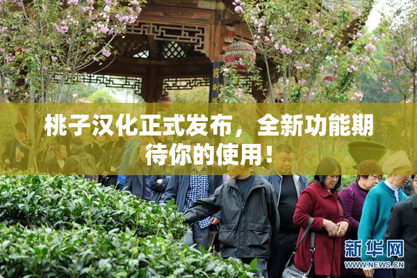 桃子汉化正式发布，全新功能期待你的使用！