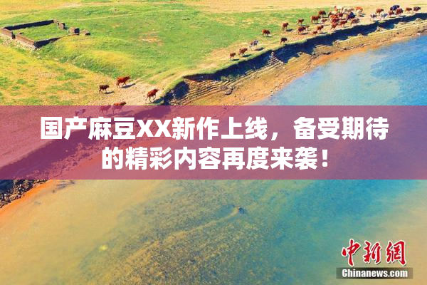 国产麻豆XX新作上线，备受期待的精彩内容再度来袭！