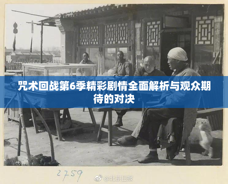 咒术回战第6季精彩剧情全面解析与观众期待的对决